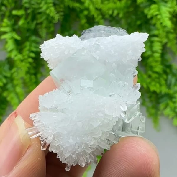 Green fluorite cube in spray of clear quartz needles from Zhejiang, China, top view