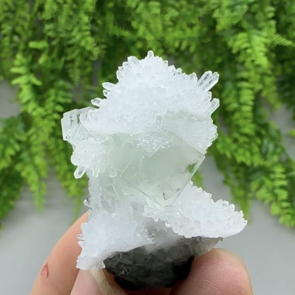 Green fluorite cube in spray of clear quartz needles from Zhejiang, China, detail of the matrix contact