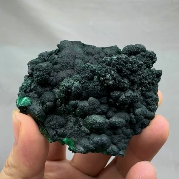 Dark green botryoidal malachite crust from DR Congo, held in hand