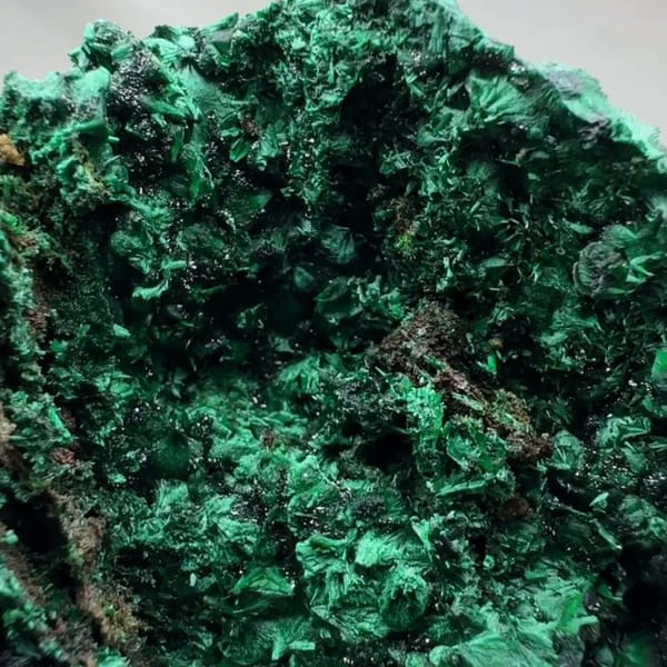 Dark green botryoidal malachite crust from DR Congo, close-up of the crystal faces