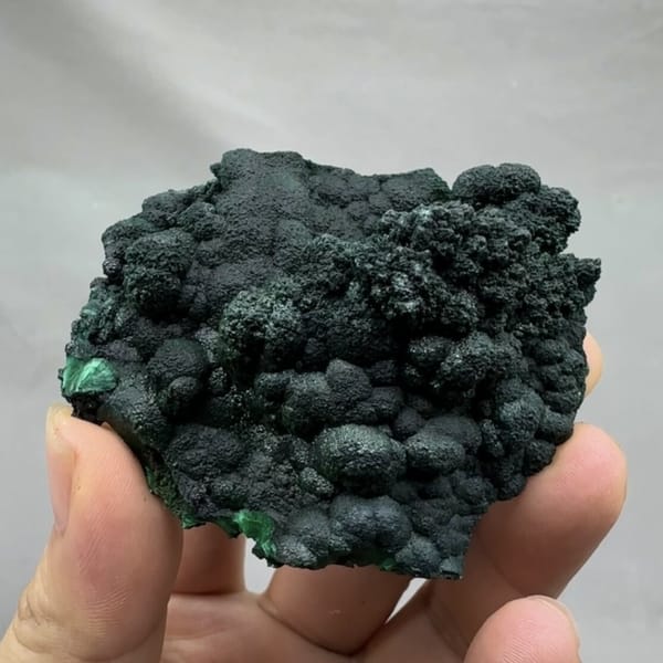 Dark green botryoidal malachite crust from DR Congo, detail of the matrix contact