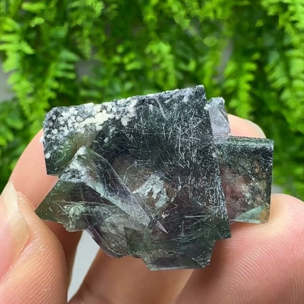 Clear phantom fluorite cubes enclosing bismuthinite needles from Inner Mongolia, China