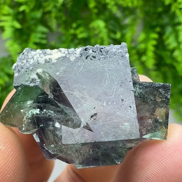 Clear phantom fluorite cubes enclosing bismuthinite needles from Inner Mongolia, China, close-up of the crystal faces