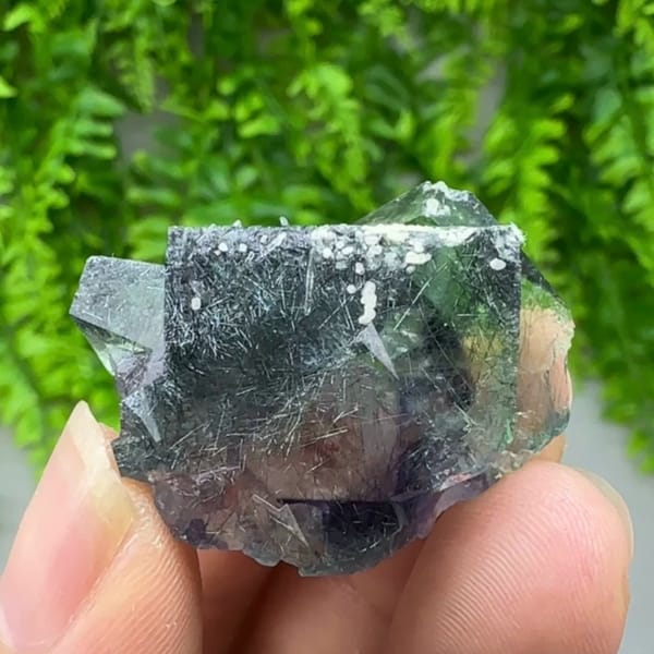 Clear phantom fluorite cubes enclosing bismuthinite needles from Inner Mongolia, China, reverse side