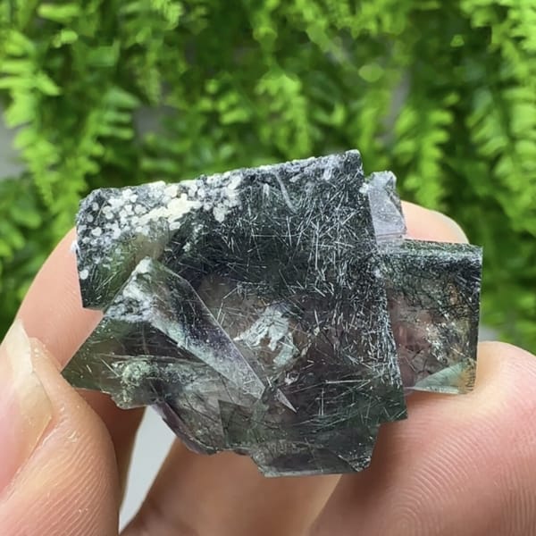 Clear phantom fluorite cubes enclosing bismuthinite needles from Inner Mongolia, China, detail of the matrix contact