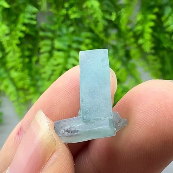 Tiny L-shaped blue-and-white fluorite crystal from Inner Mongolia, China, held in hand