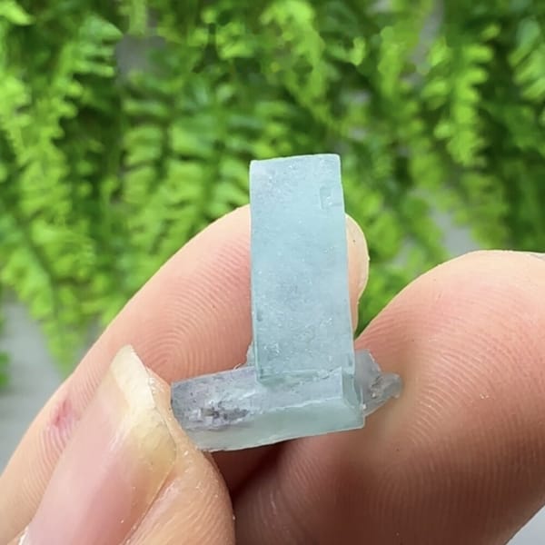 Tiny L-shaped blue-and-white fluorite crystal from Inner Mongolia, China, top view