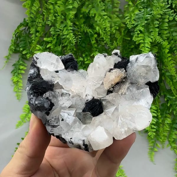 Beta-habit quartz bipyramids with black specular hematite from Guangdong, China, held in hand