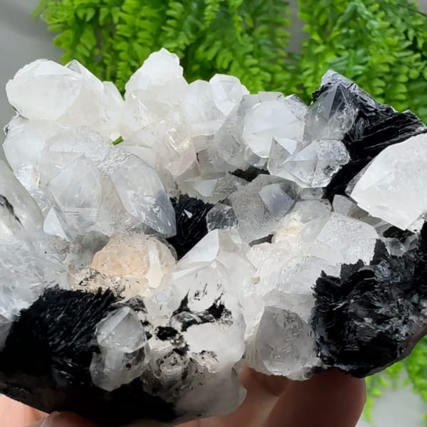Beta-habit quartz bipyramids with black specular hematite from Guangdong, China, second angle