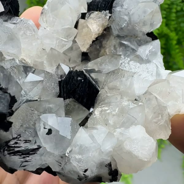 Beta-habit quartz bipyramids with black specular hematite from Guangdong, China, close-up of the crystal faces
