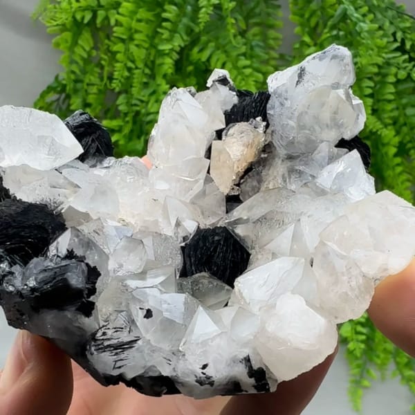 Beta-habit quartz bipyramids with black specular hematite from Guangdong, China, reverse side