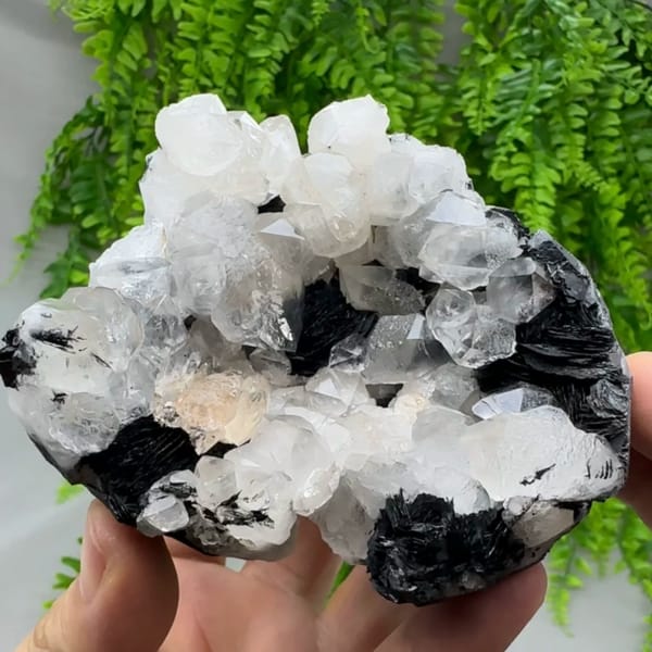 Beta-habit quartz bipyramids with black specular hematite from Guangdong, China, top view