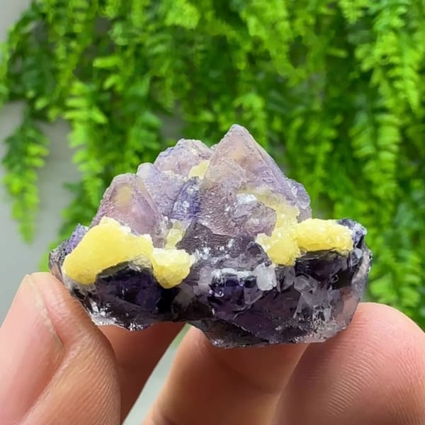 Purple-red and blue octahedral fluorite floater with mica from Inner Mongolia, China