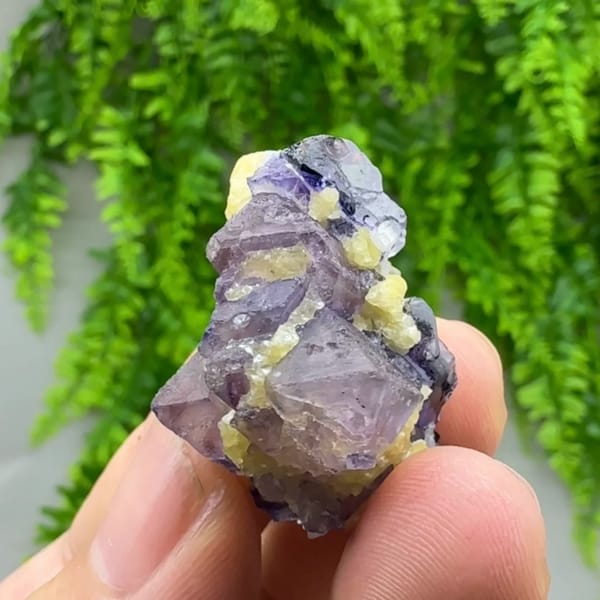 Purple-red and blue octahedral fluorite floater with mica from Inner Mongolia, China, second angle