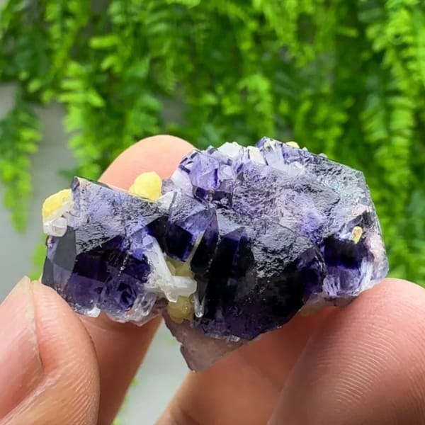 Purple-red and blue octahedral fluorite floater with mica from Inner Mongolia, China, close-up of the crystal faces