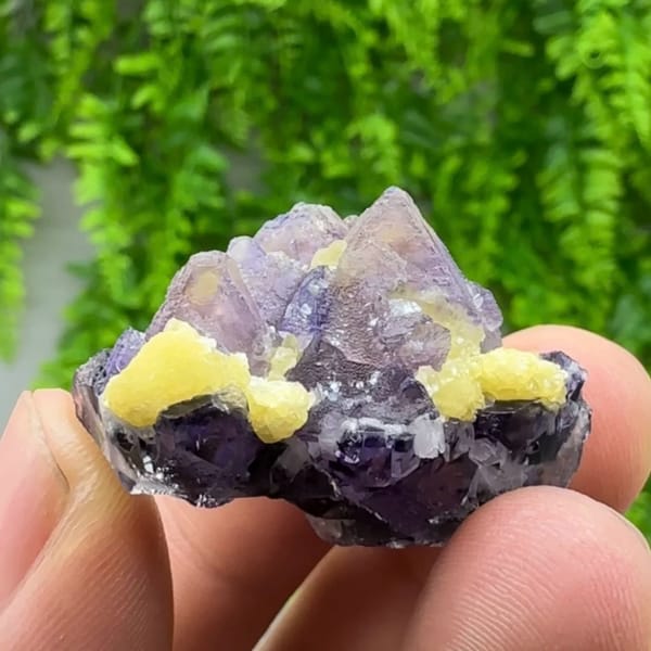 Purple-red and blue octahedral fluorite floater with mica from Inner Mongolia, China, reverse side