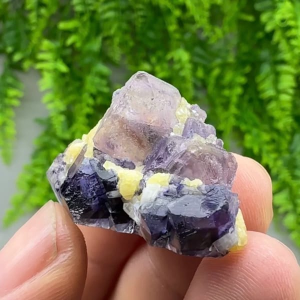 Purple-red and blue octahedral fluorite floater with mica from Inner Mongolia, China, top view