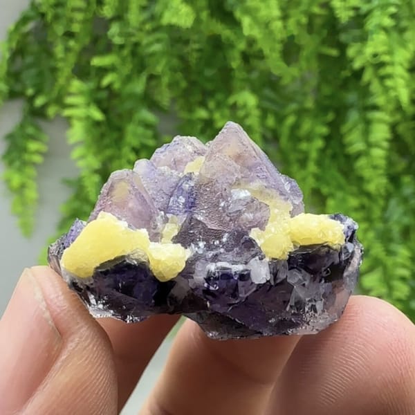 Purple-red and blue octahedral fluorite floater with mica from Inner Mongolia, China, detail of the matrix contact