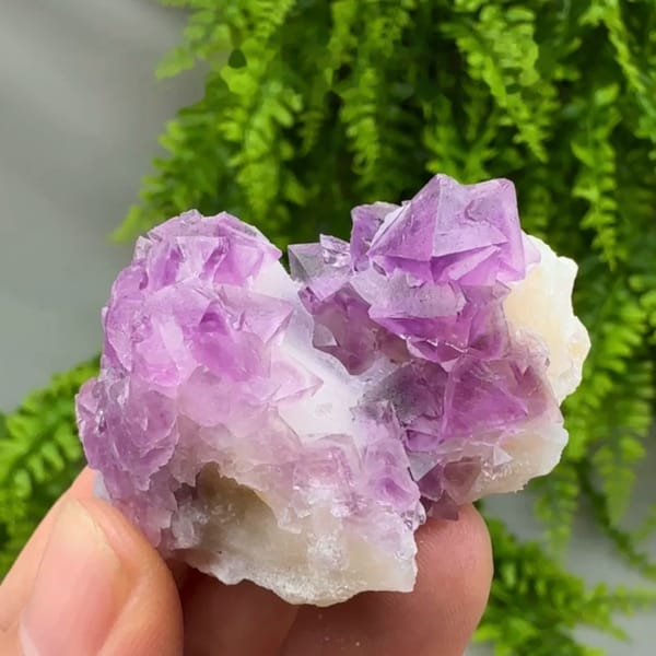 Vivid pink-purple fluorite octahedra on white quartz from Zhejiang, China, held in hand