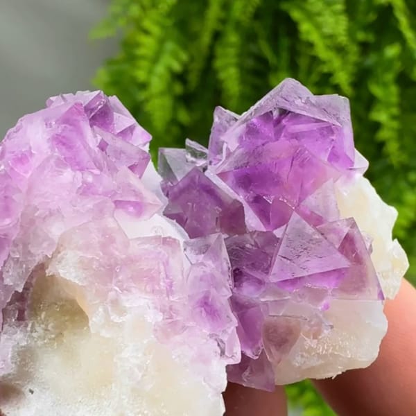 Vivid pink-purple fluorite octahedra on white quartz from Zhejiang, China, second angle