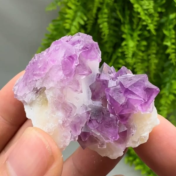 Vivid pink-purple fluorite octahedra on white quartz from Zhejiang, China, top view