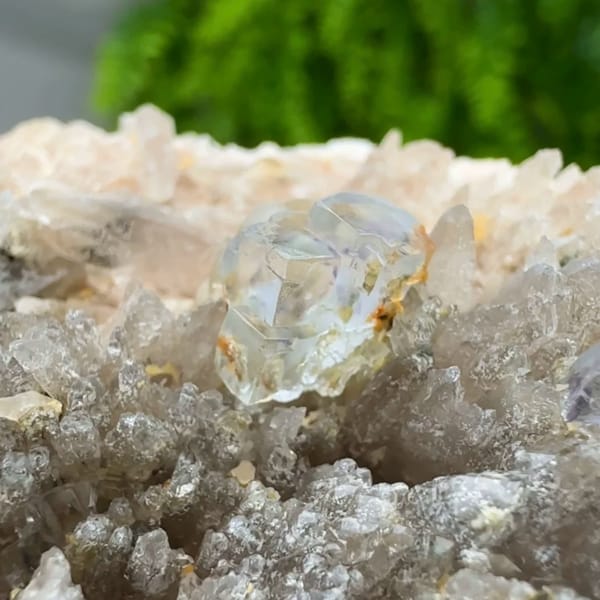 Pale blue combination-form fluorite crystals on quartz druse from Yunxiao, Fujian, China, reverse side