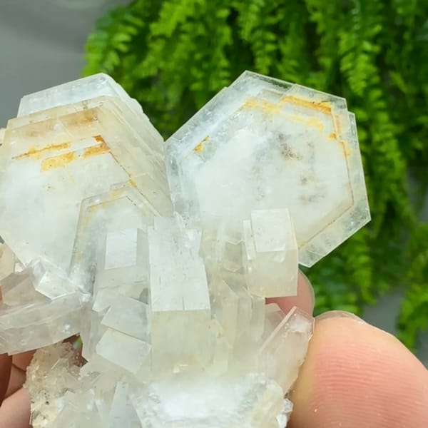 Stacked hexagonal calcite plates with orange growth lines from Fujian, China, top view