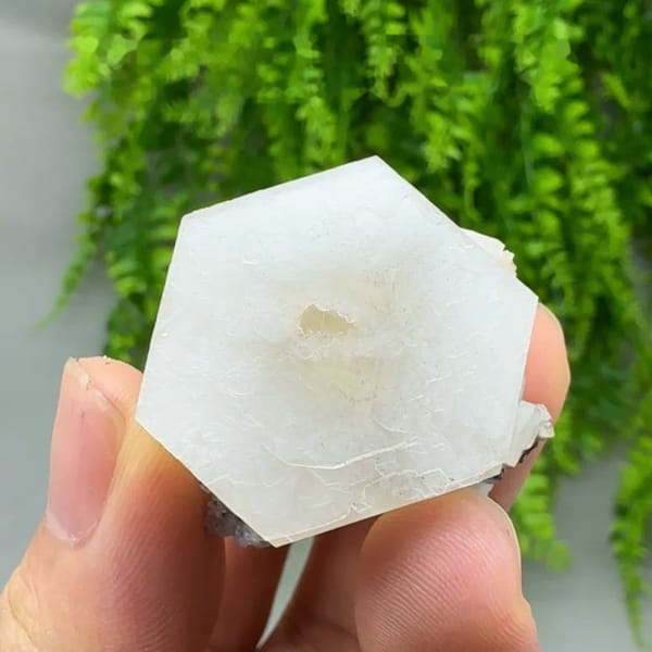 Flat white hexagonal calcite crystal with yellow core from Fujian, China, held in hand
