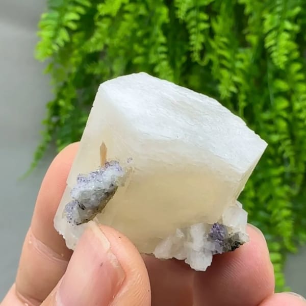 Flat white hexagonal calcite crystal with yellow core from Fujian, China, close-up of the crystal faces