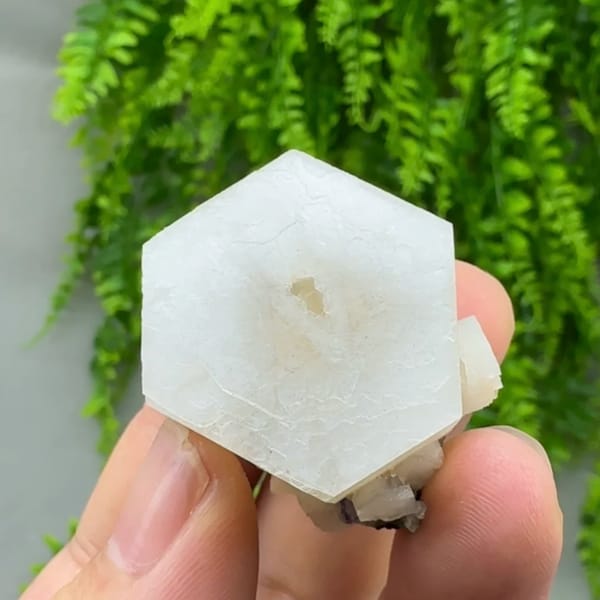 Flat white hexagonal calcite crystal with yellow core from Fujian, China, reverse side