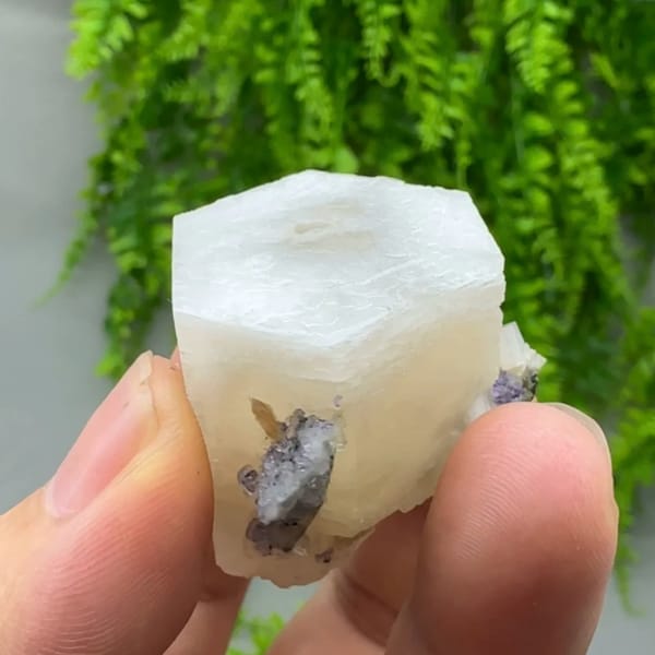 Flat white hexagonal calcite crystal with yellow core from Fujian, China, top view