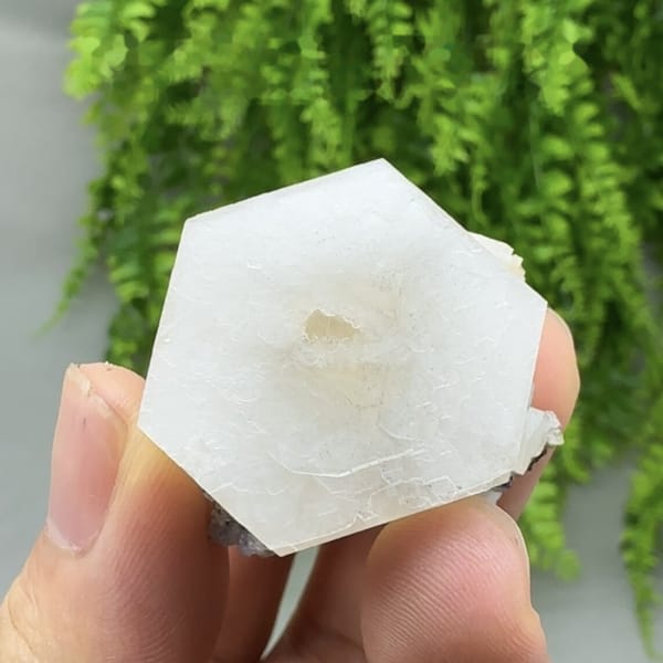 Flat white hexagonal calcite crystal with yellow core from Fujian, China, detail of the matrix contact