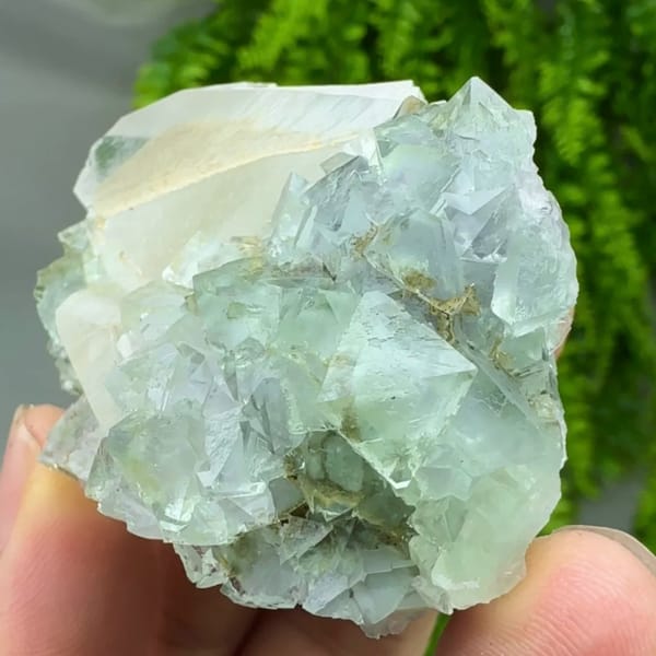 Transparent green fluorite octahedra with white calcite blade from Fujian, China, close-up of the crystal faces