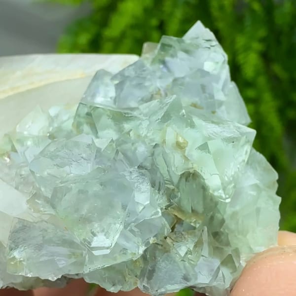 Transparent green fluorite octahedra with white calcite blade from Fujian, China, reverse side