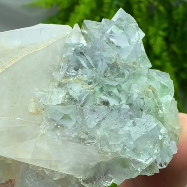 Transparent green fluorite octahedra with white calcite blade from Fujian, China, top view