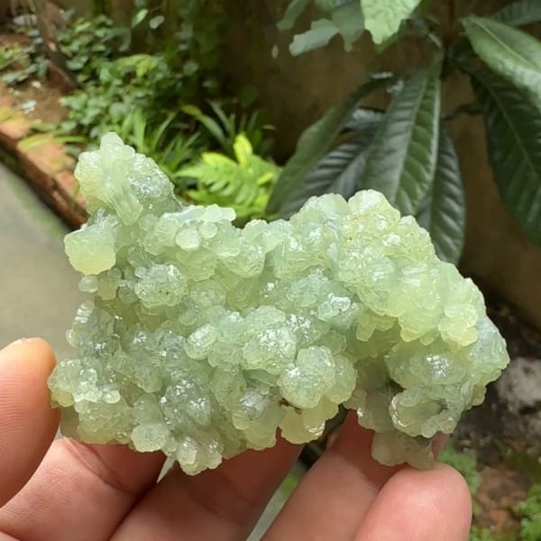Pale green bow-tie prehnite cluster from Morocco, held in hand
