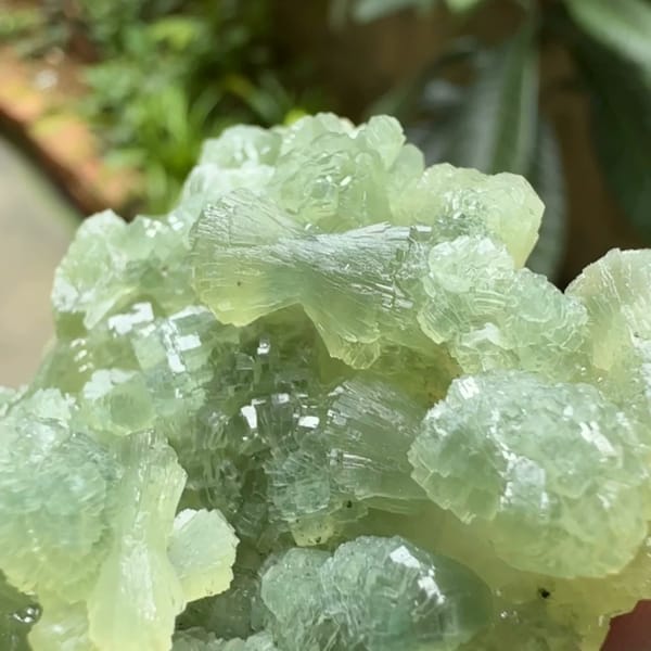 Pale green bow-tie prehnite cluster from Morocco, second angle