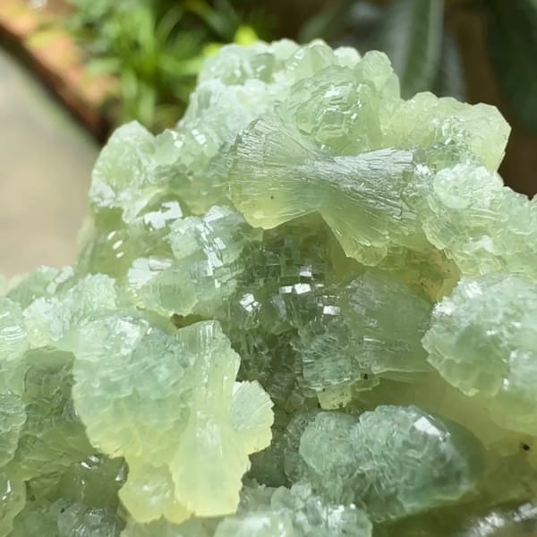 Pale green bow-tie prehnite cluster from Morocco, reverse side