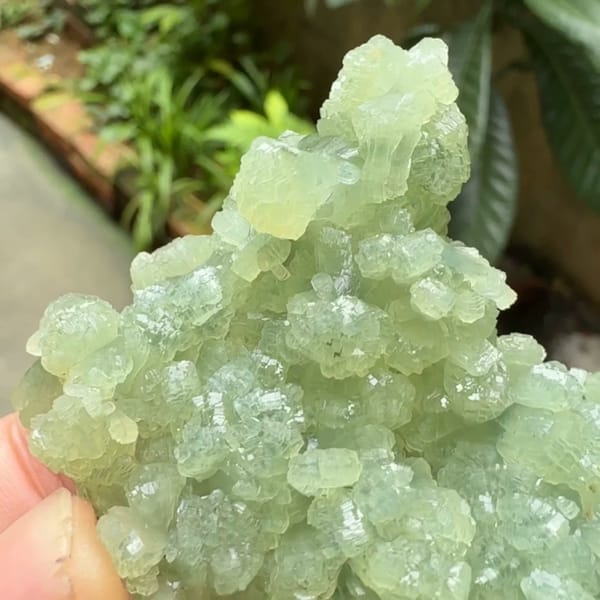 Pale green bow-tie prehnite cluster from Morocco, top view