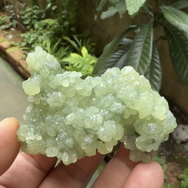 Pale green bow-tie prehnite cluster from Morocco, detail of the matrix contact