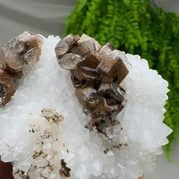 Chocolate-brown calcite with cream cores on white quartz from Fujian, China, close-up of the crystal faces