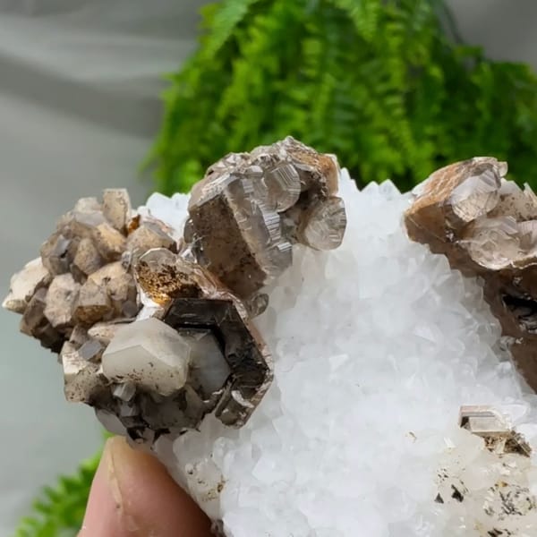 Chocolate-brown calcite with cream cores on white quartz from Fujian, China, reverse side