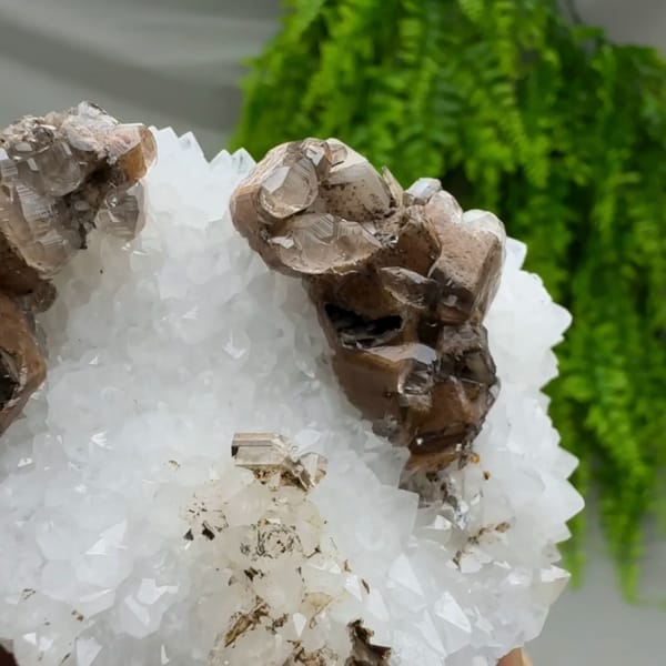 Chocolate-brown calcite with cream cores on white quartz from Fujian, China, top view