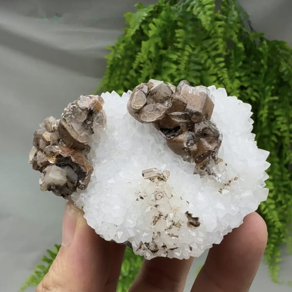 Chocolate-brown calcite with cream cores on white quartz from Fujian, China, detail of the matrix contact