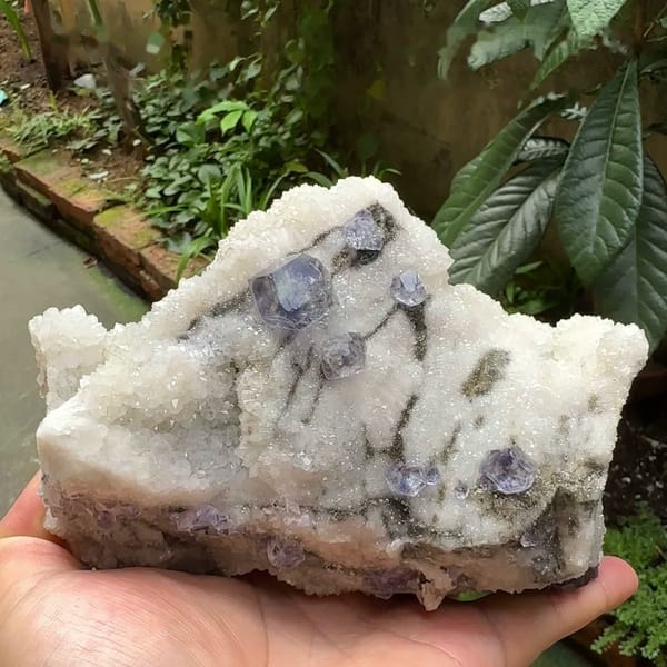 Large white quartz plate with pale blue fluorite dodecahedra from Fujian, China, held in hand