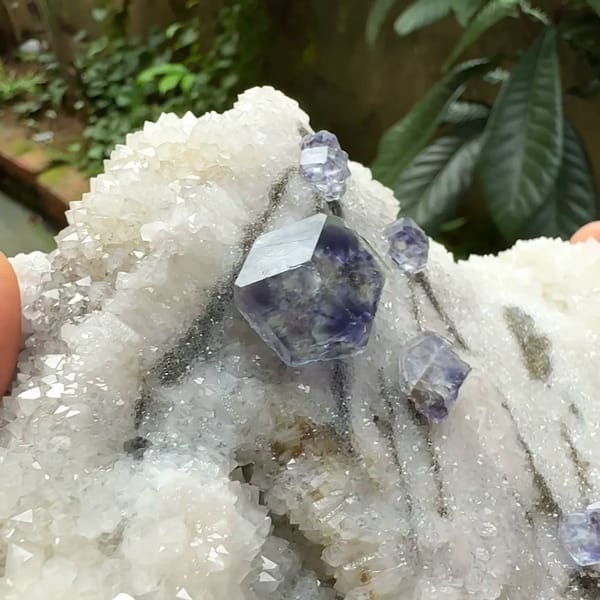 Large white quartz plate with pale blue fluorite dodecahedra from Fujian, China, second angle