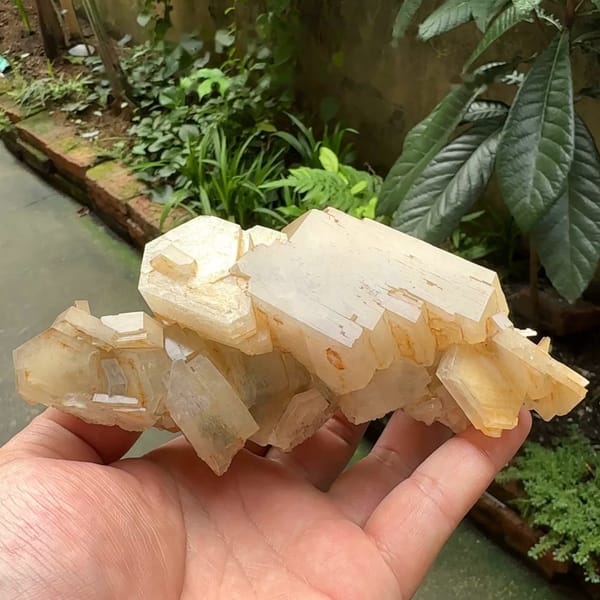 Row of tabular peach calcite crystals from Fujian, China, held in hand