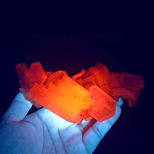 Row of tabular peach calcite crystals from Fujian, China, second angle