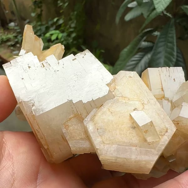 Row of tabular peach calcite crystals from Fujian, China, close-up of the crystal faces