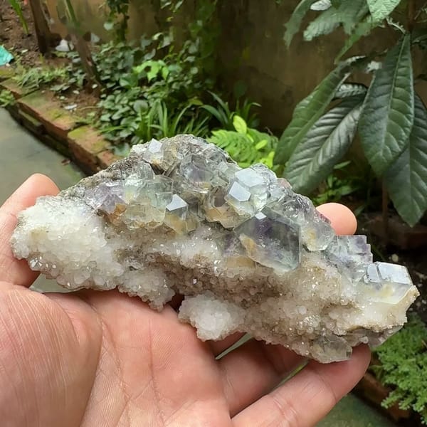 Pale blue-green fluorite dodecahedra on white quartz plate from Fujian, China, held in hand